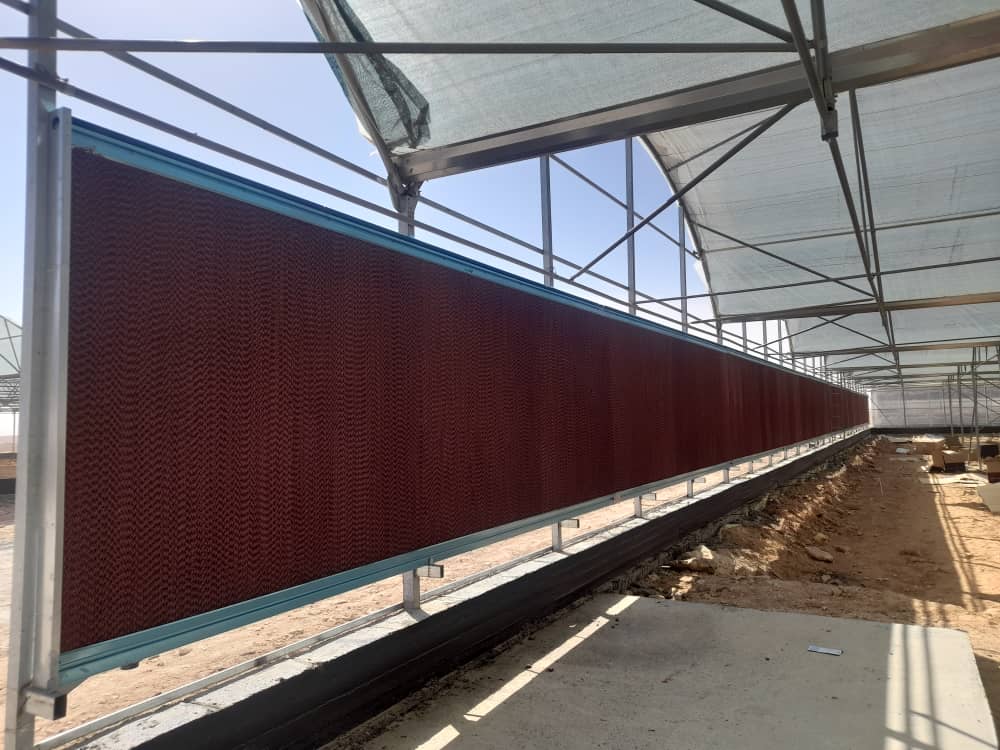 فروش پد سلولزی نمایندگی رسمی کولان سل خواجوی در دزفول